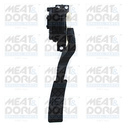 Accelerator Pedal Unit